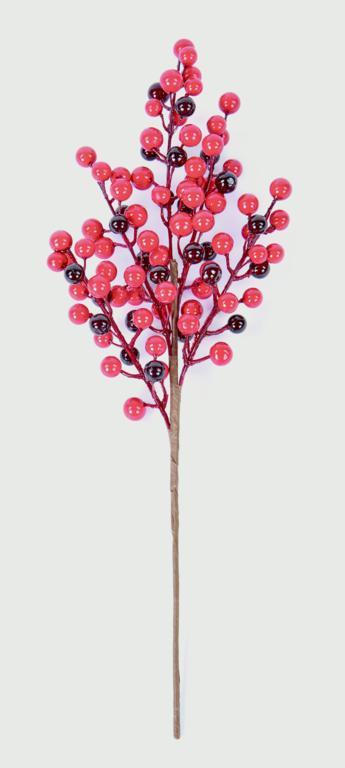 Berries Pick