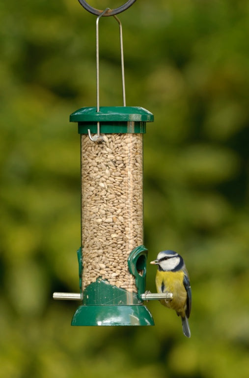 Easy Clean Seed Feeder