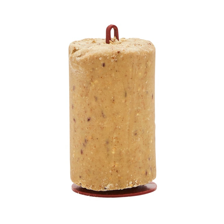 Suet Log With Hanger