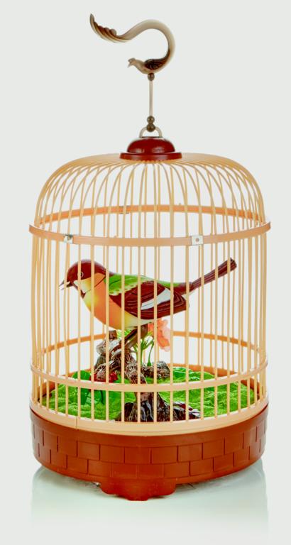 Bird In Cage With Sound