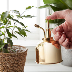 Brass Mist Sprayer