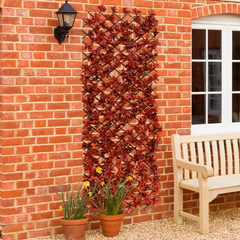 Expanding Artificial Trellis