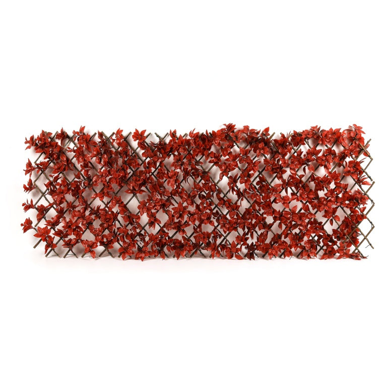 Expanding Artificial Trellis
