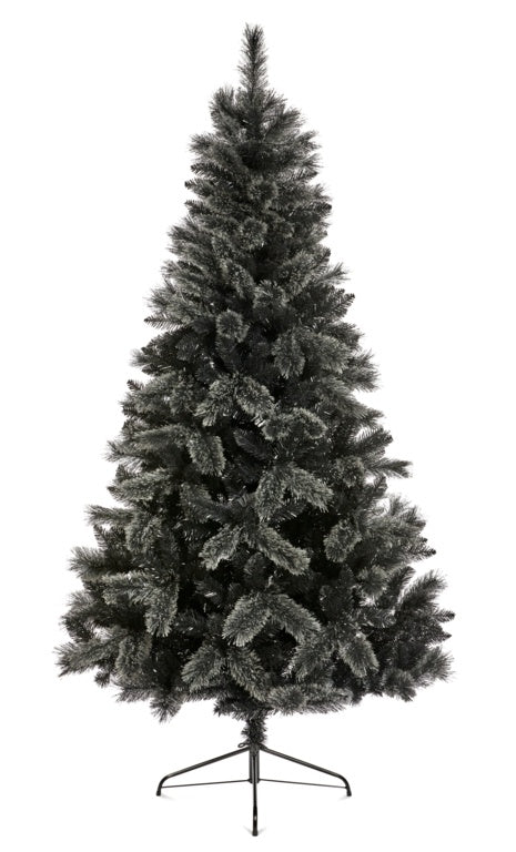 Black Tipped Fir & Cashmere Tips