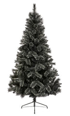 Black Tipped Fir & Cashmere Tips