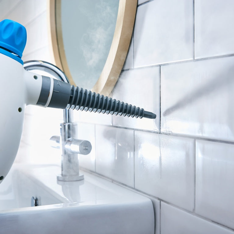 TSH10 Handheld Steam Cleaner