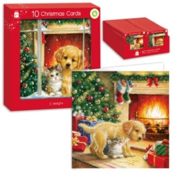 Square Kittens & Puppies