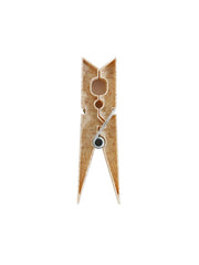 Large Bamboo Pegs