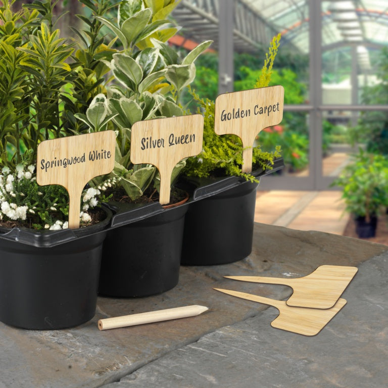 Bamboo T Labels & Pencil 10 Piece
