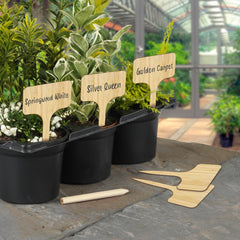 Bamboo T Labels & Pencil 10 Piece