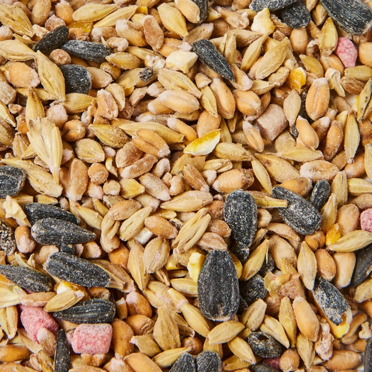 Wild Bird Seed