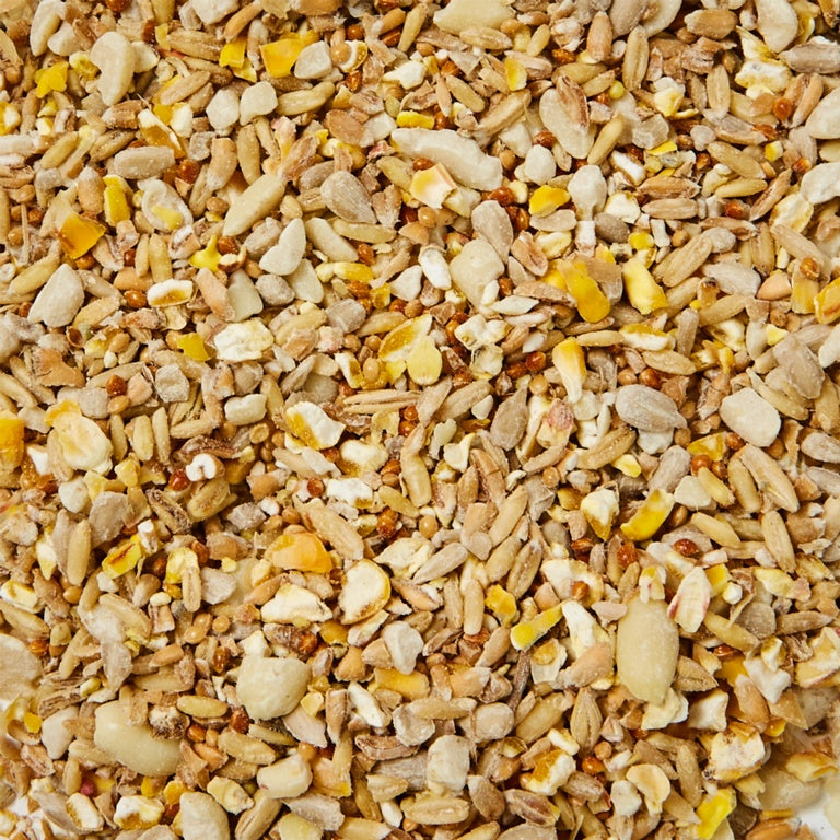 No Mess Hi Energy Seed