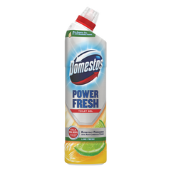 Power Fresh Toilet Gel 750ml