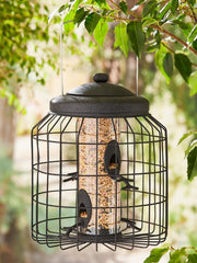 Heavy Duty Black Squirrel Proof Seed Feeder
