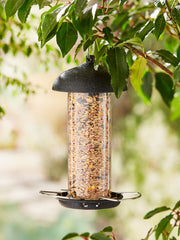 Black Steel Seed Feeder