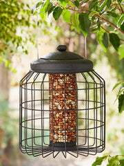 Heavy Duty Black Squirrel Proof Peanut Feeder