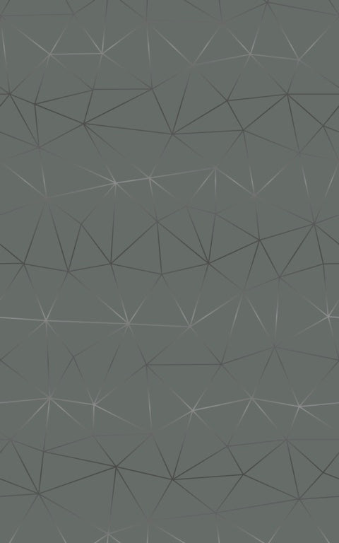 Self Adhesive Film - Tico Silver