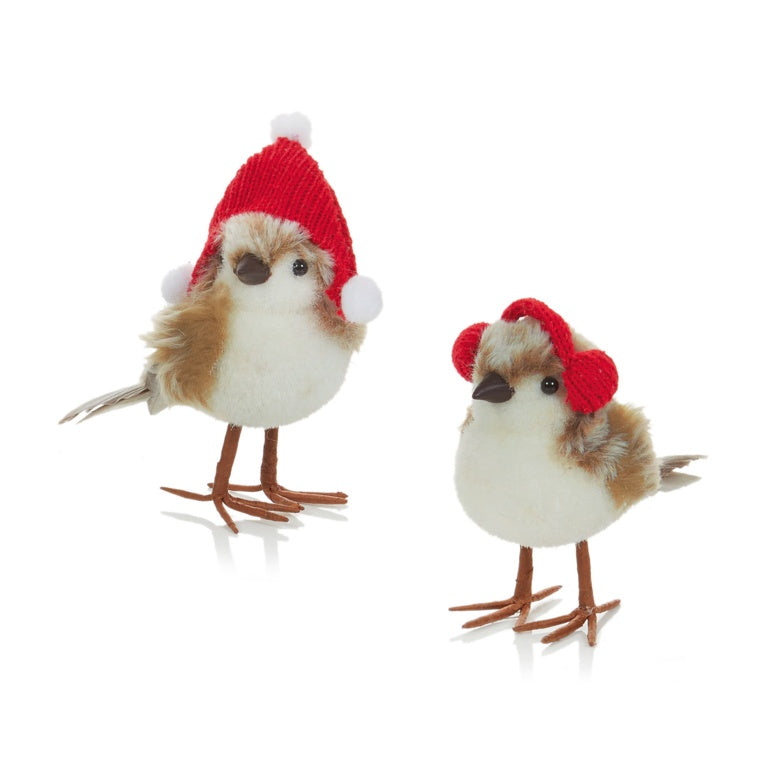 Brown Red Birds