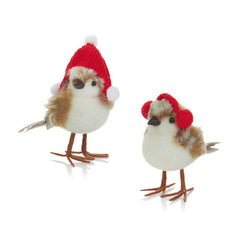 Brown Red Birds