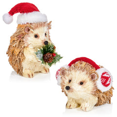 Bristle Hedgehog In Santa Hat