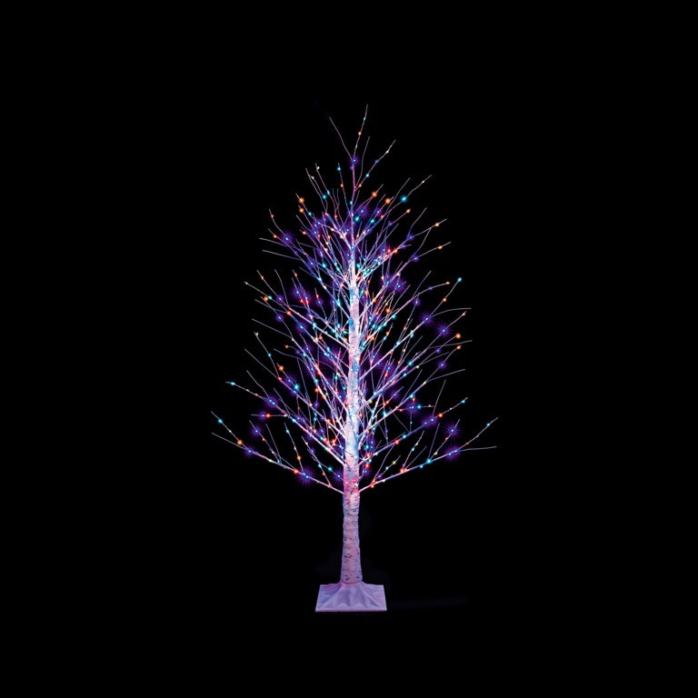 1.2m Birch Tree Rainbow