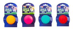 Glow In Dark Pet Toy
