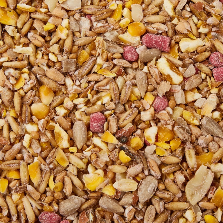 Hi Energy No Mess Bird Seed with Suet Pellets