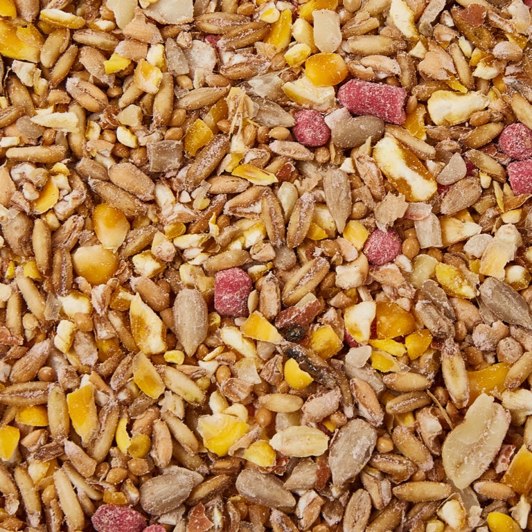Hi Energy No Mess Bird Seed with Suet Pellets
