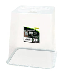 Square Cloche Cover