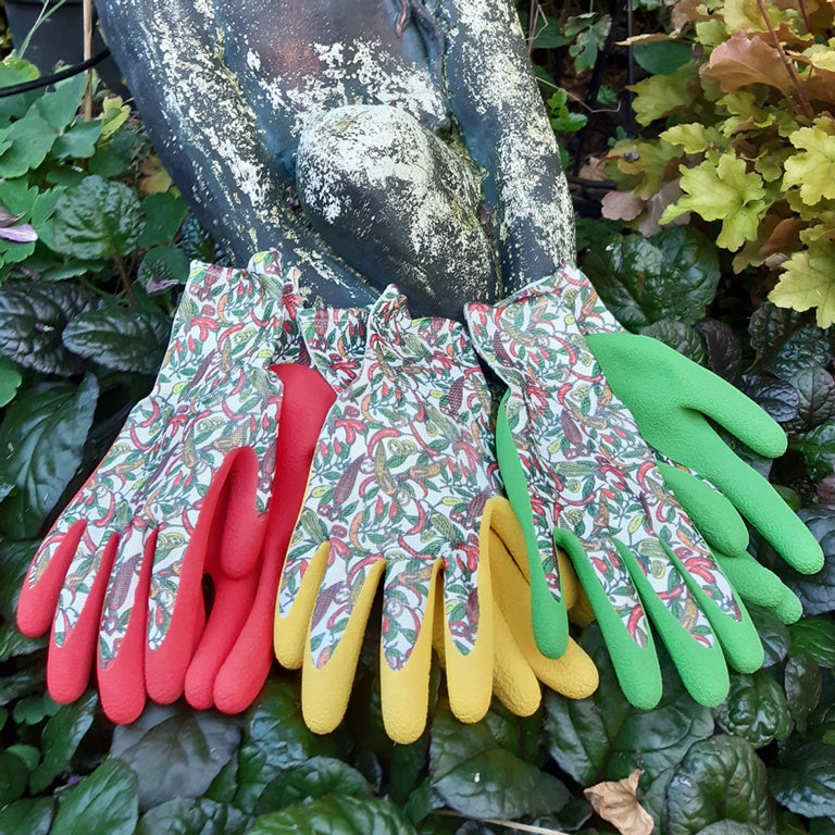 Ladies Chilli Gloves