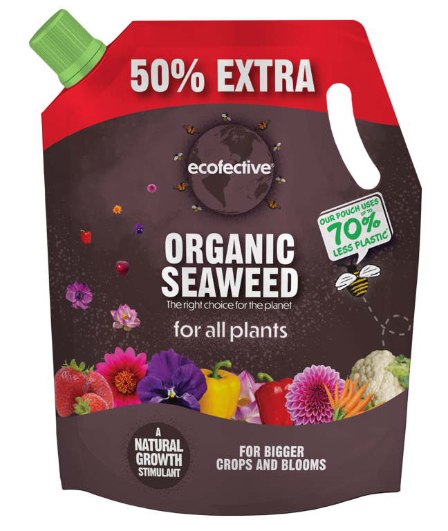 Organic Seaweed