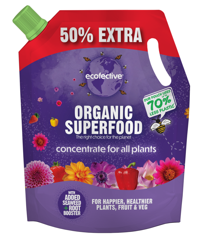 All Plants Organic Superfood