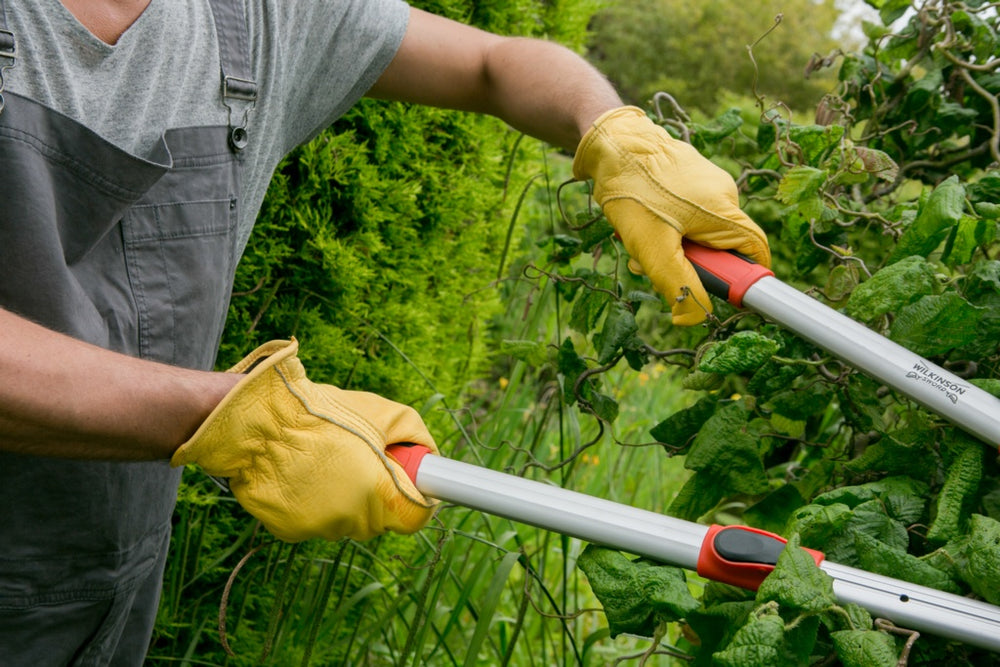 Deluxe Leather Gloves