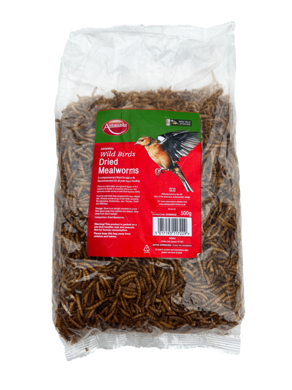 Dried Mealworms