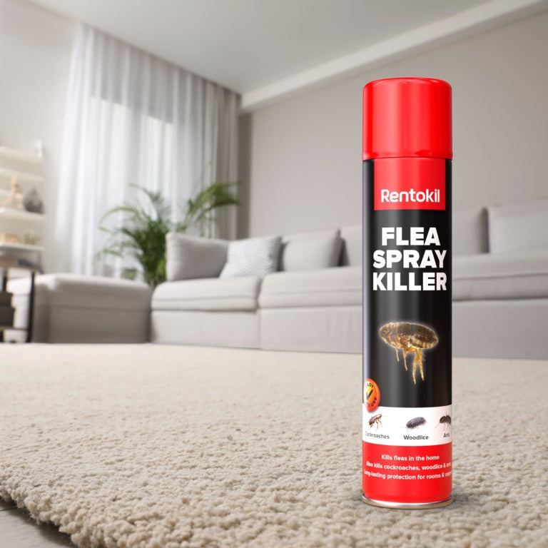 Flea Spray Killer