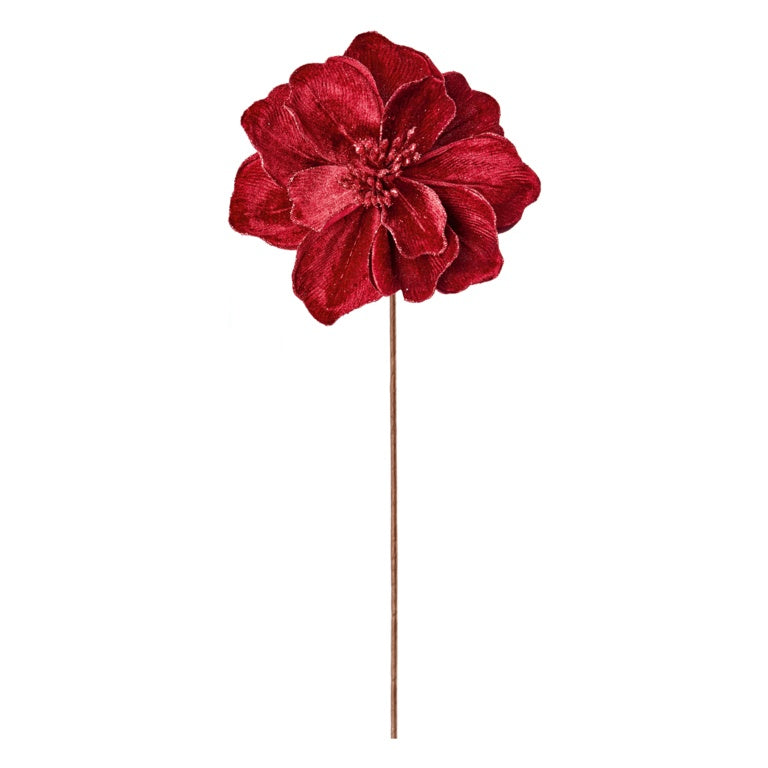 Burgundy Velvet Magnolia On Stem