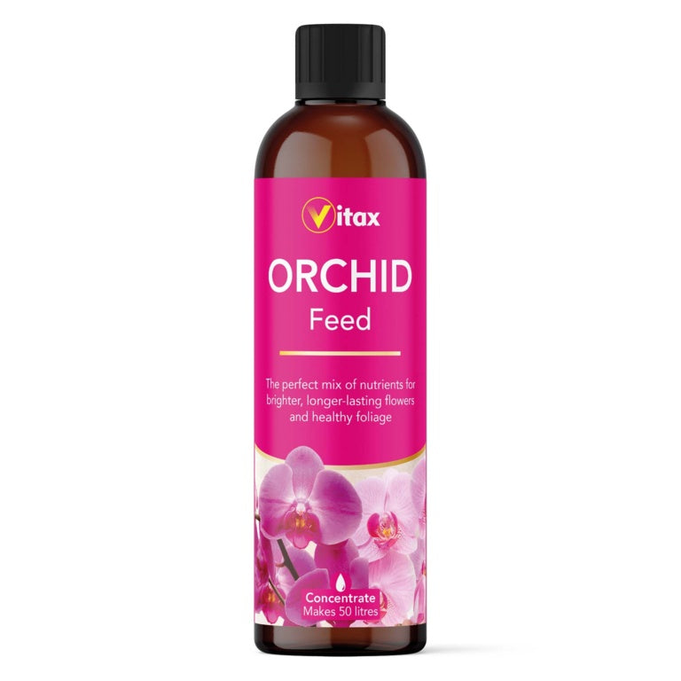 Orchid Feed