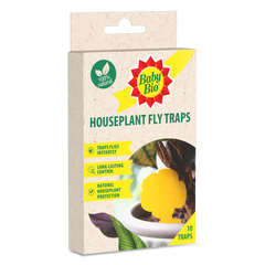 Houseplant Fly Traps