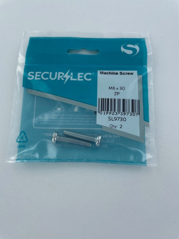 Machine Screw ZP M6 x 30mm