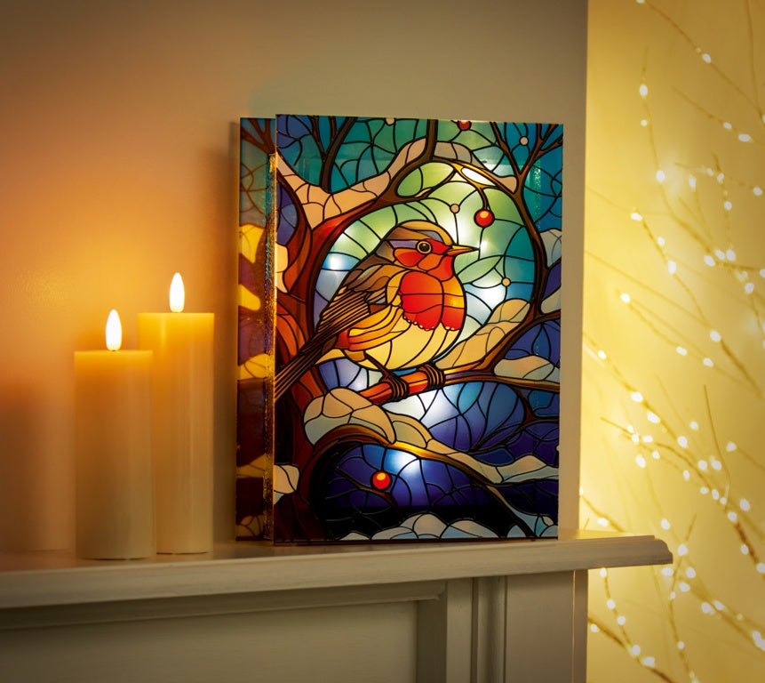 Battery Operated Lit Glass Robin Table Top 50 LED Warm White