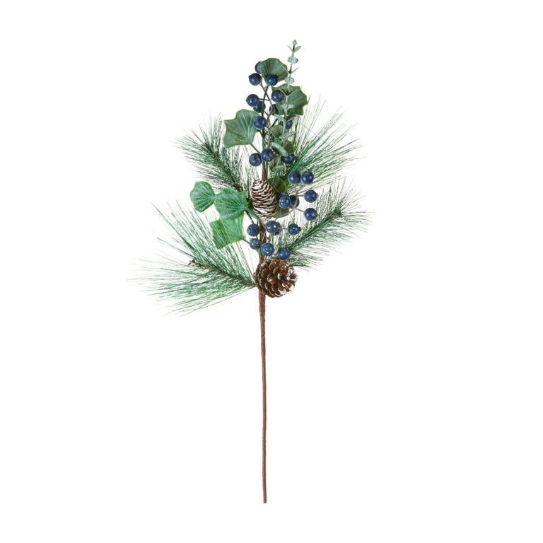 Blueberry Stem