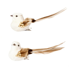 2 Piece Cream Velour Bird On Backing Card