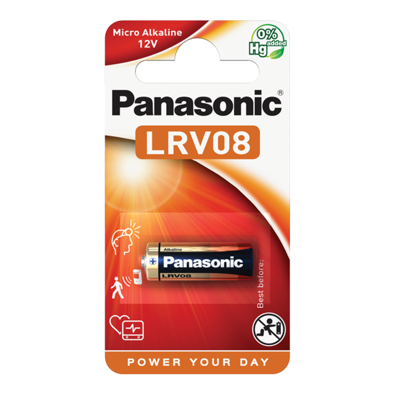 Car Alarm Battery