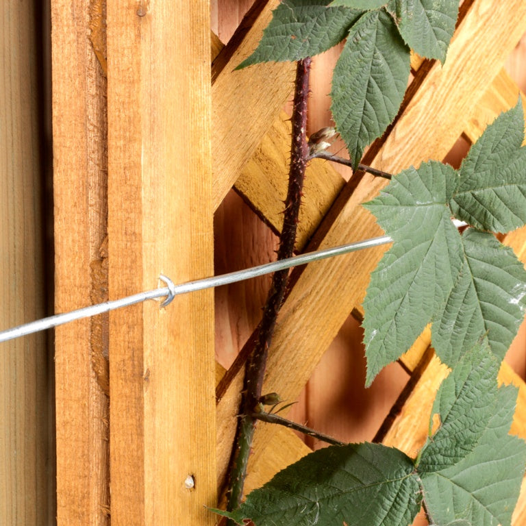 Galvanised Wire