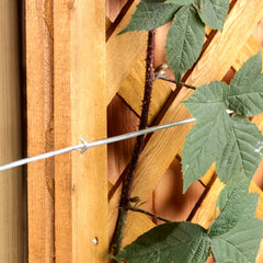 Galvanised Wire