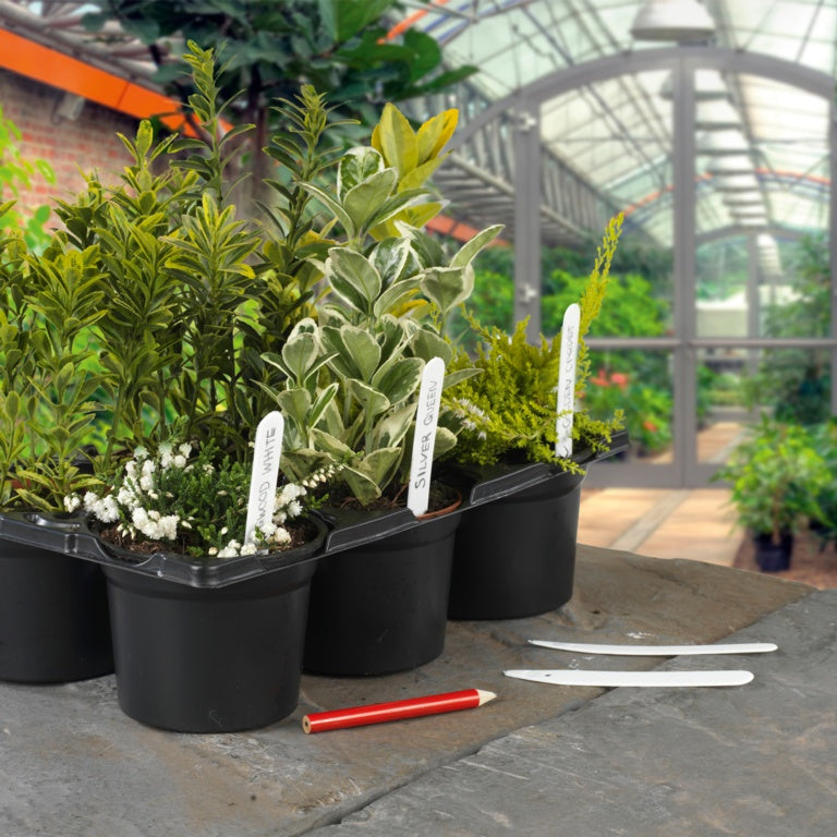 Plant Labels & Pencil
