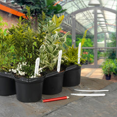 Plant Labels & Pencil