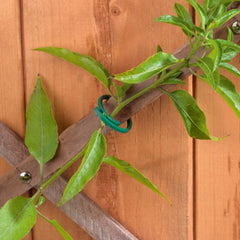 Plastic Plant Rings