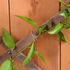 Galvanised Plant Rings