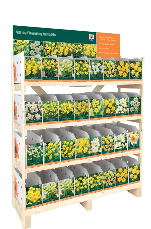 Daffodil Collection